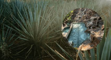 Ve por unos tequilas y date un chapuzón en las aguas termales de Jalisco