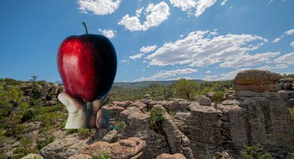 ¿No es Zacatlán? El destino de México ideal para hacer una 'Ruta de la Manzana'