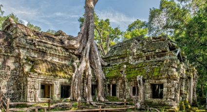 5 increíbles lugares abandonados por los humanos que la naturaleza ha reclamado