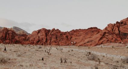 ¿Cuál es el desierto más grande de Norteamérica y dónde se encuentra?