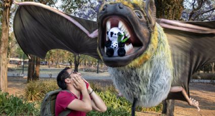 Murciélagos gigantes ‘invaden’ Chapultepec y así es cómo podrás verlos