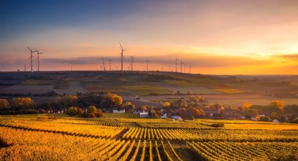 5 ciudades para realizar un viaje sostenible y ayudar a cuidar del planeta