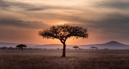 Destinos de lujo y exóticos que debes conocer para disfrutar unas vacaciones únicas por el mundo