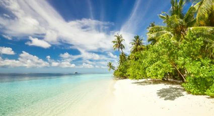 Lo de Marcos, la playa de México donde nadarás sin sentir el peligro del mar