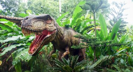 ¡Dinosaurios invaden Chapultepec! Lánzate a la nueva exposición en la CDMX