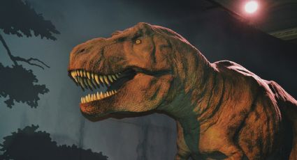 Dinosaurios en Guadalajara llegan para disfrutar una aventura jurásica en tus días libres: Costos