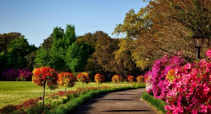 Paseos en lancha, tren o para una caminata: Actividades que puedes hacer en el Parque Tezozómoc