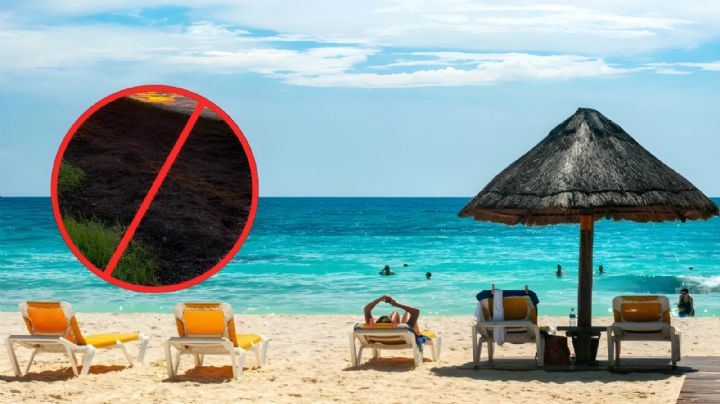 Cuáles son las playas libres de sargazo para disfrutar el fin de semana en Cancún