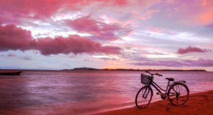 Playas de arena rosa más bellas del mundo: hay una mexicana que debes conocer