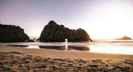 ¿Qué pasa si nadas en una playa llena de sargazo? Conoce cuáles son los daños para tu salud