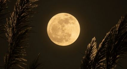 ¿En qué horario se verá mejor la Luna de Flores 2024?