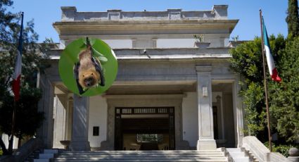 Los Pinos se prepara para la Noche de Museos con recorrido de murciélagos