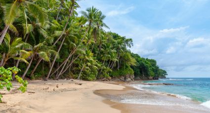 Coral, la playa más tranquila en Puerto Escondido para visitar en tus próximas vacaciones