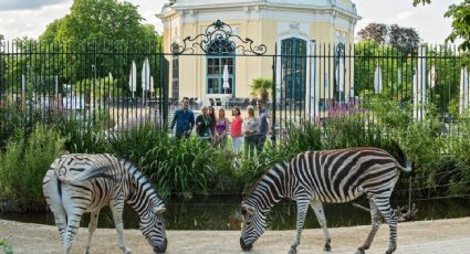 El zoológico más antiguo del mundo -fundado en 1756- y que aún puedes visitar