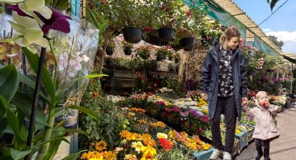 10 de mayo: ¿Dónde comprar flores y plantas a excelentes precios para este Día de las Madres?