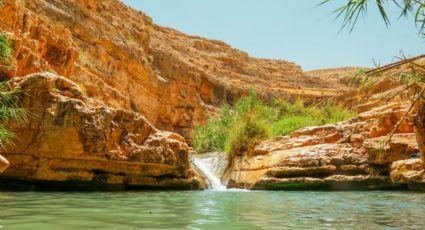 Oasis por sólo $150: el cañón en el desierto de Los Cabos para disfrutar una alberca natural