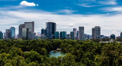 Caminata en Chapultepec: Sitios para admirar desde la Calzada Peatonal Chivatito