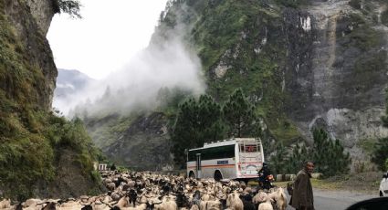 ¿Viajas por carretera? Este es el recorrido en autobús más largo del mudo y los destinos que conecta