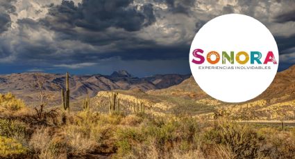 ¡Y arriba el norte! Bellezas escondidas en Sonora: entre el desierto y la naturaleza