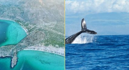 Ballena Pelechada, la formación única que divide dos playas por la “cola de una ballena”