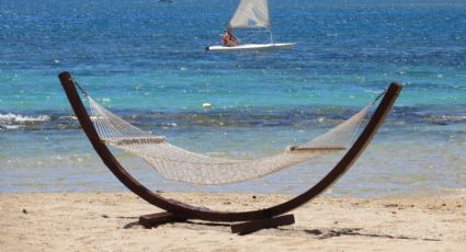 ¡Hamacas frente al mar! La playa perfecta para relajarse en un paraíso increíble
