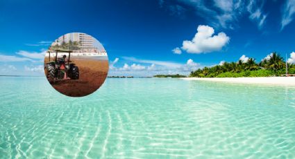 Viaje a Cancún: Playas libres de sargazo para visitar el tercer fin de semana de junio