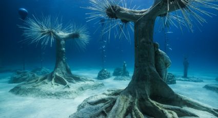 ¡Viaje al fondo del mar! 5 esculturas submarinas más impresionantes del mundo