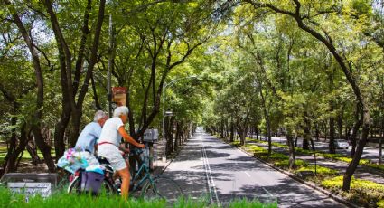 INAPAM: ECOBICI anuncia descuento especial a adultos mayores en sus paseos por CDMX