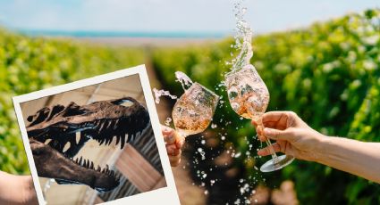 Vinos y dinos, la ruta de viaje para disfrutar los encantos de Coahuila en vacaciones