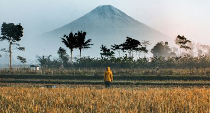 ¿Por qué? El país de Asia donde su capital está por cambiar de sitio