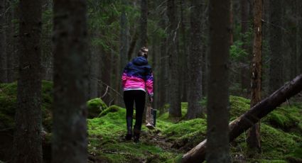 Los dos lugares del Edomex donde puedes vivir la practica ancestral de recolectar hongos