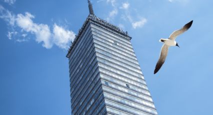 Finde en CDMX: ¿Cuánto cuesta subir al mirador de la Torre Latinoamericana?