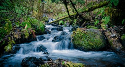 ¡Viaje de aventura! Las cascadas más cercanas a Toluca para pasar el fin de semana