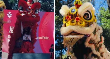 ¡Imperdible! Disfruta del Festival del Barco Dragón 2024 en Xochimilco: FECHAS Y HORARIOS