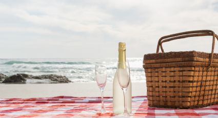 Vacaciones: Playas para 'armar' un picnic a orillas del mar en México