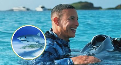 ¡Qué miedo! Daddy Yankee presume experiencia nadando con tiburones en Puerto Rico