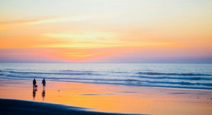 ¿Viaje al mar? Estas son las razones por las que NO deberías caminar en la playa