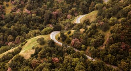 Viajes en auto: Los documentos que SIEMPRE debes llevar al salir por carretera en vacaciones