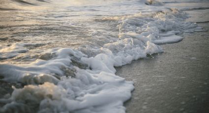 Vacaciones de verano: La playa sin olas cerca de Puerto Vallarta para toda la familia