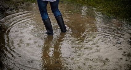 ¿Qué es el monzón mexicano? Pronóstico del clima para hoy, 20 de julio