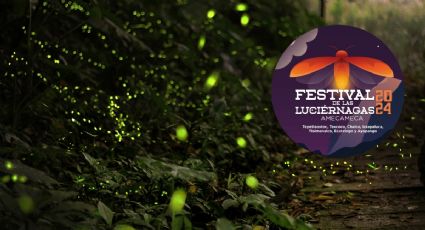 Festival de las Luciérnagas 2024: Conoce las NUEVAS fechas y actividades disponibles en Amecameca