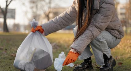 ¿Quieres dinero gratis? Copenhague compensará así a los turistas que recojan basura