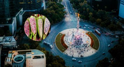 Feria del Elote deleitará a los visitantes en este evento con sabores tradicionales: Fecha y sede