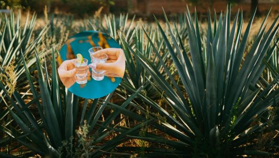 Día Internacional del Tequila: El único Pueblo Mágico que lleva el nombre de esta bebida tradicional