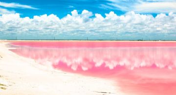 Las Coloradas, ¿Cuánto cuesta llegar a la única playa rosa de México desde Cancún?