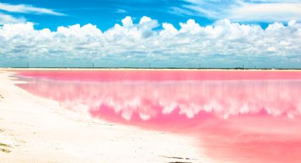 Las Coloradas, ¿Cuánto cuesta llegar a la única playa rosa de México desde Cancún?