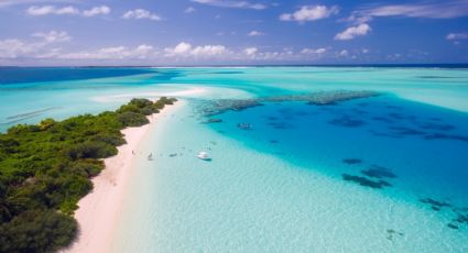 ¡Paraíso semivirgen! La bella bahía de baja California Sur donde los sueños se hacen realidad