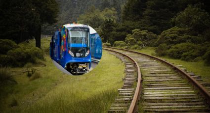 Tren Ligero Edomex: ¿Cuáles son las paradas que habrá de Buenavista a Naucalpan?