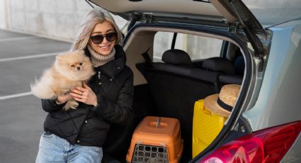 ¿Viajas con tu mascota? EU anuncia NUEVOS requisitos para ingresar con tu perro