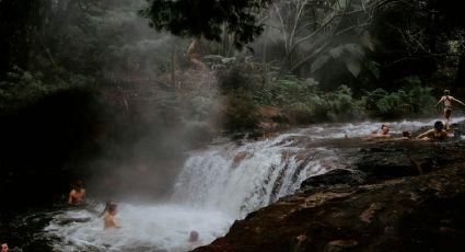 ¡Chapuzón en el verano por $150! Un oasis natural para disfrutar con toda la familia